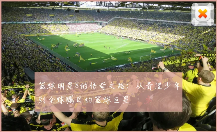 篮球明星8的传奇之路：从青涩少年到全球瞩目的篮球巨星